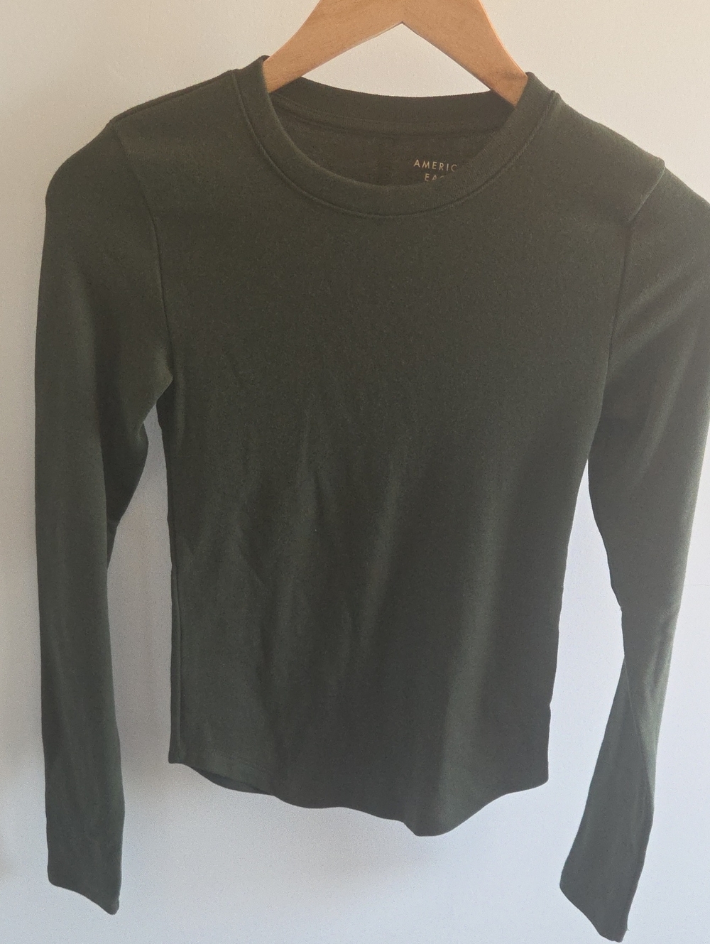 American Eagle Outfitters Dark Olive Long Sleeve Crewneck Tee